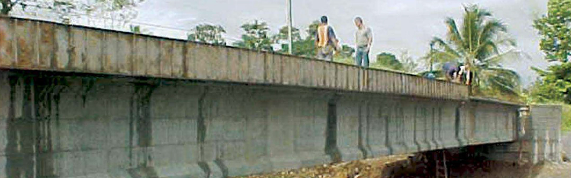 Proyecto Puente de Acceso a  Laminadora S. A.